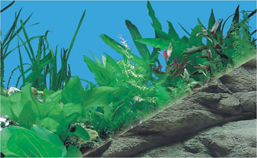 Aquarium Plastic Background