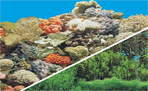 Aquarium Plastic Background