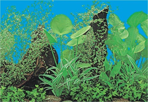 Aquarium Plastic Background