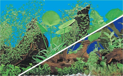 Aquarium Plastic Background - Plastic, Multiple Sizes 30cmx15m to 99cmx15m, Blue | Waterproof, Vibrant Colors, Easy To Install