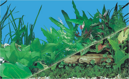 Aquarium Plastic Background - Plastic, Sizes 30x1500cm to 99x1500cm , Durable Material, Realistic Design, Easy to Install, Waterproof, UV-Resistant