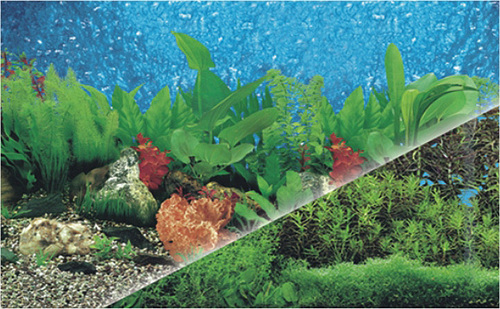 Aquarium Plastic Background