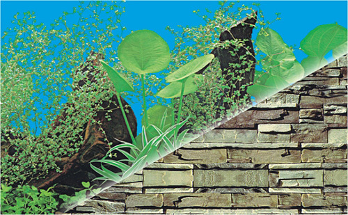 Aquarium Plastic Background