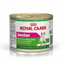 Royal Canin Mini Junior wet dog food