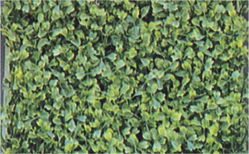 Aquarium Plastic Mat Plants