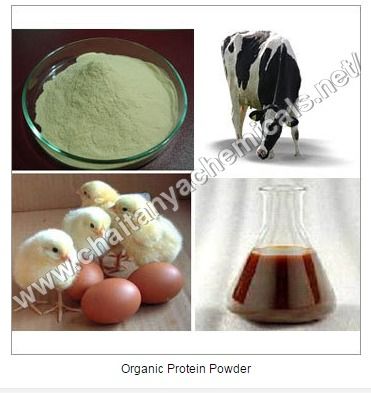 Organic Protein Powder