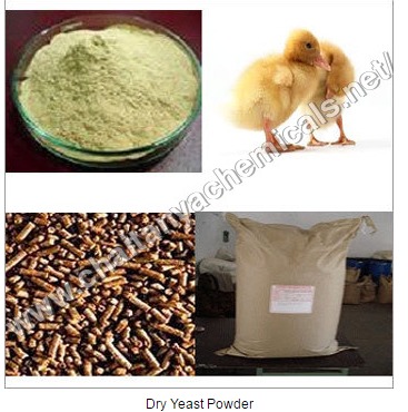 Dry Yeast Powder Packaging: Vacuum Pack