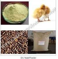 Dry Yeast Powder