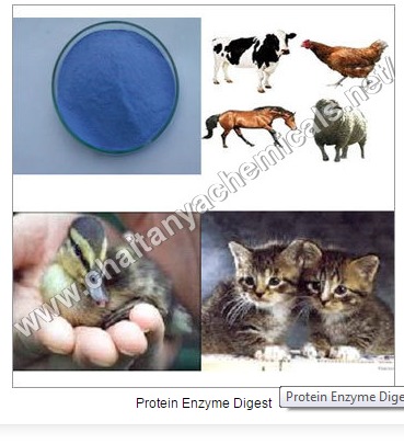 Protein Enzyme Digest Packaging: Vacuum Pack