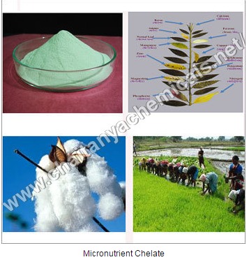 Green Micronutrient Chelate