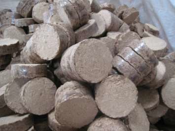 Wood Briquettes