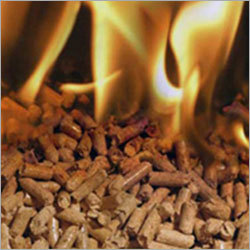 Biomass