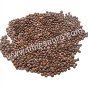 Large Masoor Whole Dal Kathol Usal