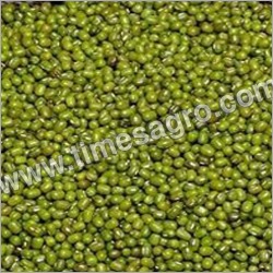 saboot urad