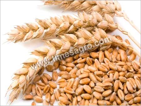 Cereals