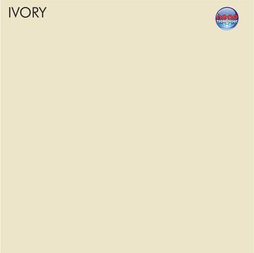 Ivory nano Polished tiles