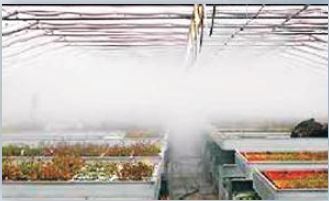 Mist & Cool System