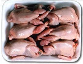 Quail Bird Meat