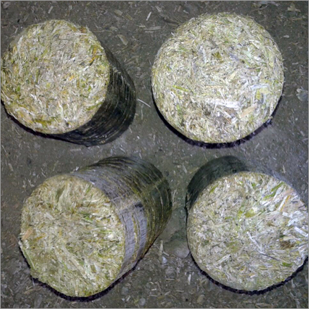 Biomass Briquettes