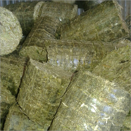Bio Coal Briquettes