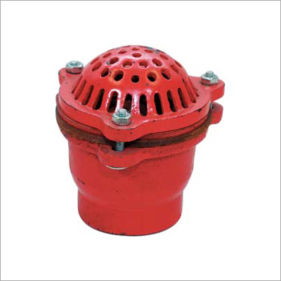 CI Foot Valve