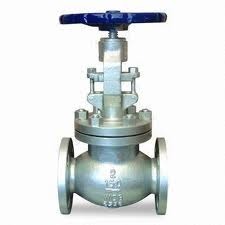Stainless Steel Globe Valve
