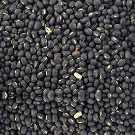 Black Lentils