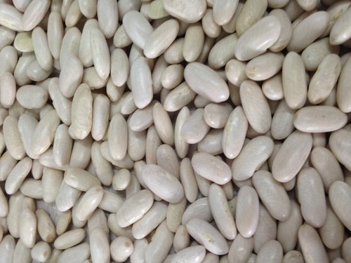 White Alubia Beans