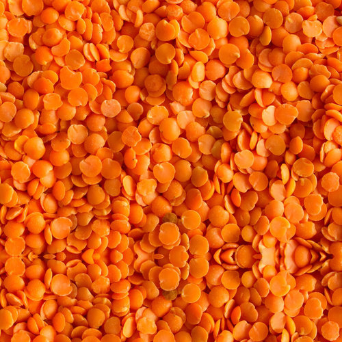 Red Lentils