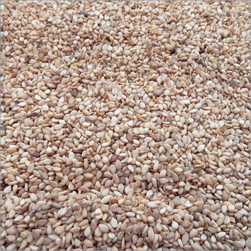 Normal Cultivation Hybrid Sesame Seeds