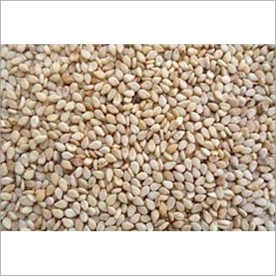 Normal Cultivation Premium Indian Sesame Seeds