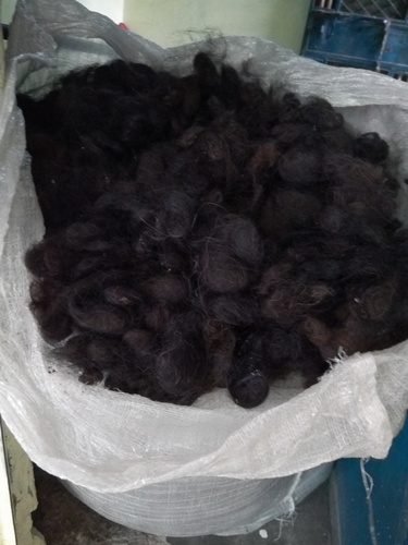 Human Hair Goli