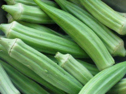 Hybrid Bhindi Seeds - Dark Green, Small Seed Size | High Yield, Disease Resistant, Extended Shelf Life