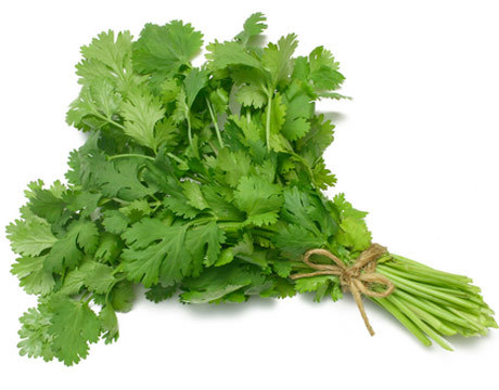 Summer Vegetable Seeds