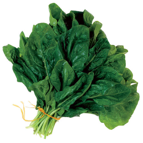 Spinach Seeds