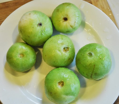 Tinda Vegetable Seeds