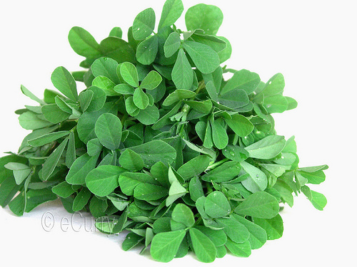 Fenugreek (Methi)
