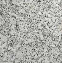 Platinum White Granite Application: Flooring