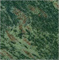 Tropical Green Granite Application: Flooring