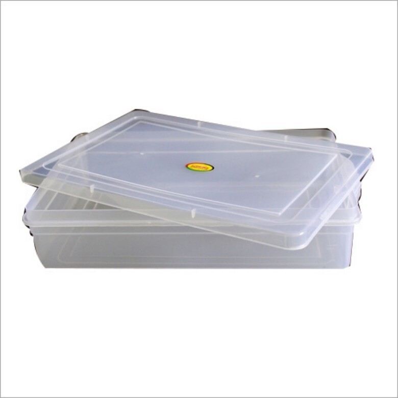 Square Container Plastic - Cavity Quantity: Single