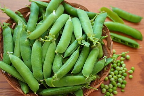 Winter Vegetable Seeds