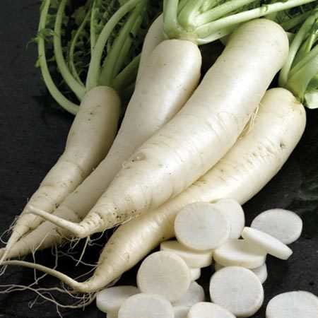 Radish