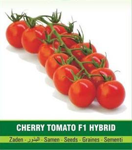 Cherry Tomato