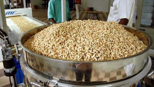 Processed Cashew Nuts