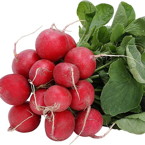 Radish F1