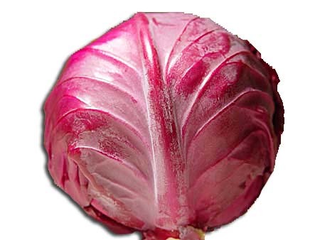 Red Cabbage