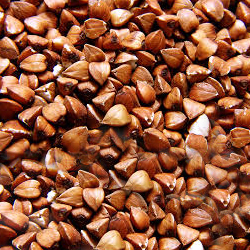 Buckwheat