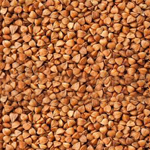 Buckwheat