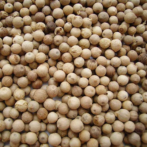White Pepper