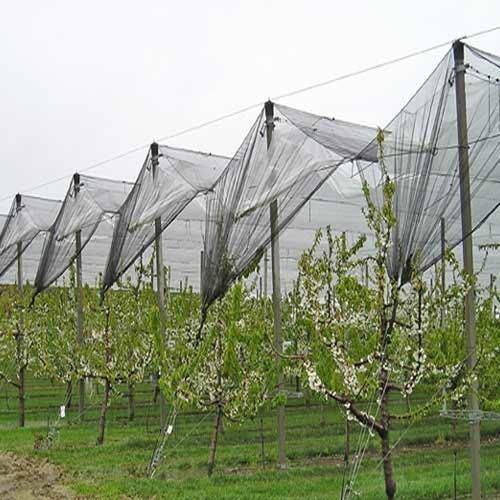 Farming Covering Net Fabrics Farming Covering Net Fabrics